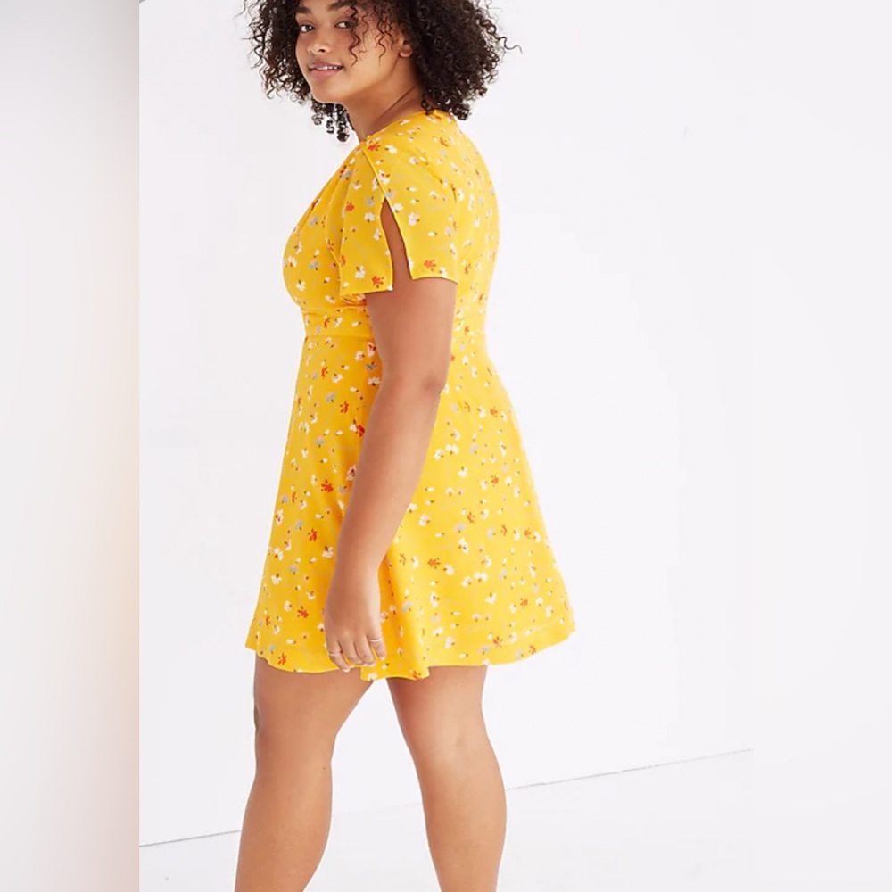 Madewell Silk Belladonna Painted Dress in Carnations Size 12 - Picture 4 of 13
